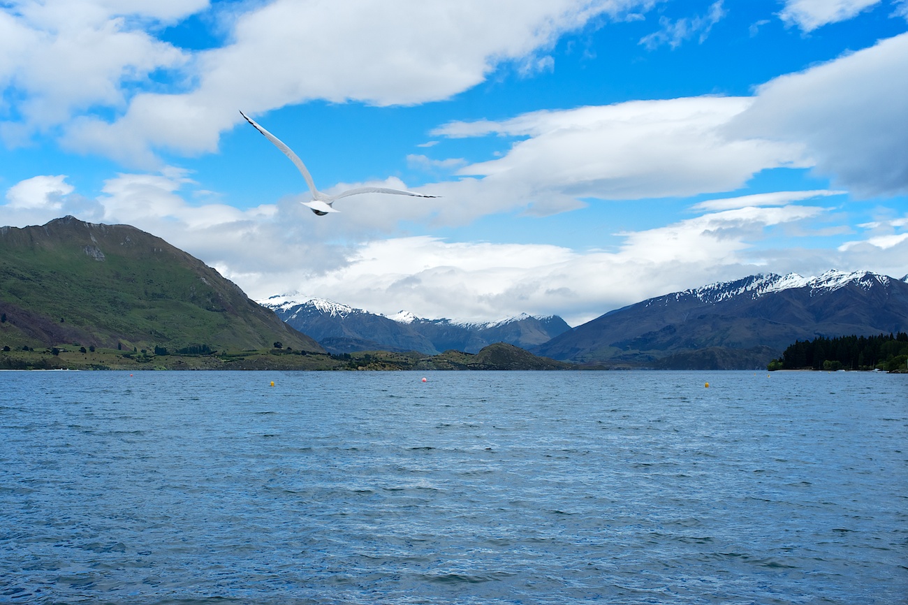 Flight above Lake Wanaka